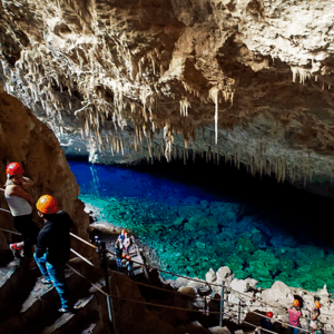 <span style="color: #ff0000;"><strong> <b>🐠🐦BONITO/MS </strong></span> </b> 🐊🐍 Férias de Verão - 08 à 13/01 <b> <span style="color: #ff0000;"><strong> **PROMO R$ 899, à vista** </strong></span> </b>