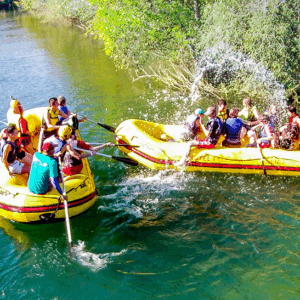 <span style="color: #ff0000;"><strong> <b>🐠🐦BONITO/MS </strong></span> </b> 🐊🐍 Férias de Verão - 04 à 09/02 <b> <span style="color: #ff0000;"><strong> **PROMO R$ 799, à vista** </strong></span> </b>