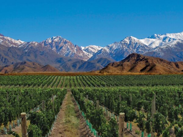 <span style="color: #ff0000;"><strong> 🇦🇷 <b>MENDOZA</strong></span> </b></b>🇦🇷 Férias de Inverno - SAÍDA 23/07 <b> <span style="color: #ff0000;"><strong>**à partir de R$ 2.200,** </b></strong></span> </b>